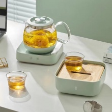 哲品家用小型玻璃养生壶煮茶器T-Box（绿色）茶合旅行版