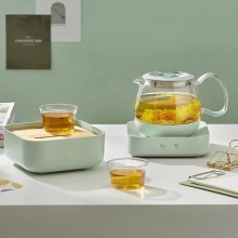 哲品家用小型玻璃养生壶煮茶器T-Box（绿色）茶合旅行版